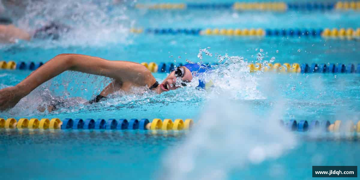 介绍必一·体育(b-sports)